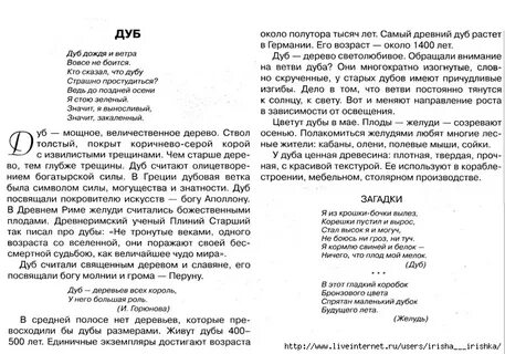 Текст дуб 5 класс