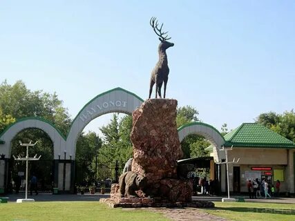 Зоопарк ташкент
