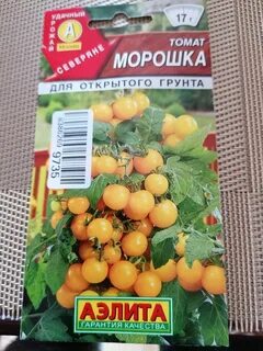 Томат морошка описание