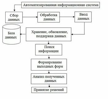 Составляющие элементы автоматизированной информационной системы