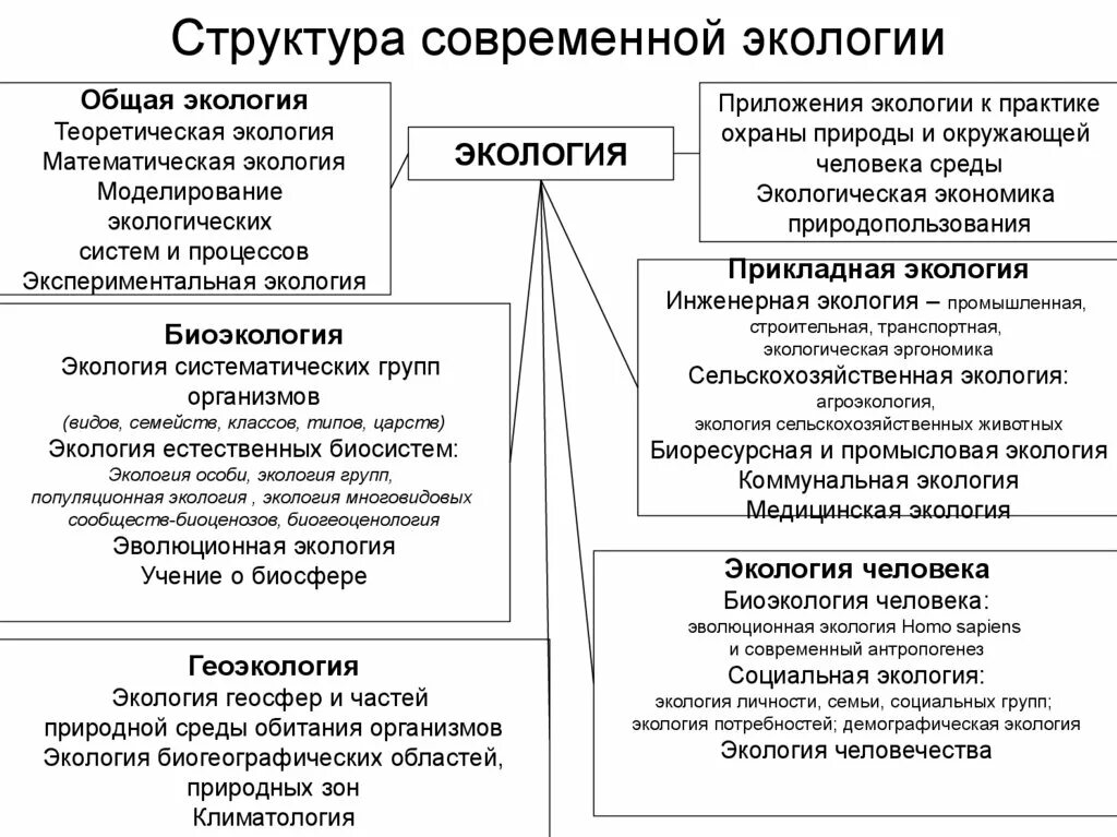 Логическая схема структура современной экологии. Структура современной экологии. Структуры экологии фундаментальные. Составить схему структура экологии.