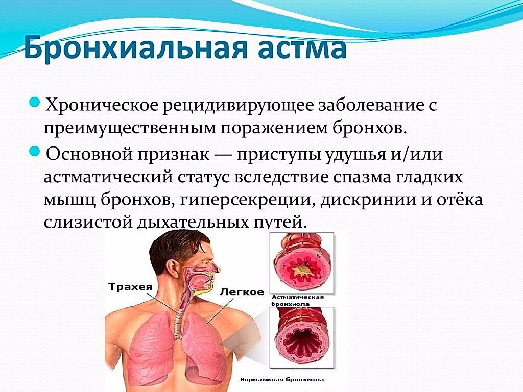 Почему ба. Симптоматика бронхиальной астмы. Хроническая астма симптомы. Астма это хроническое заболевание. Заболевания органов дыхания бронхиальная астма.