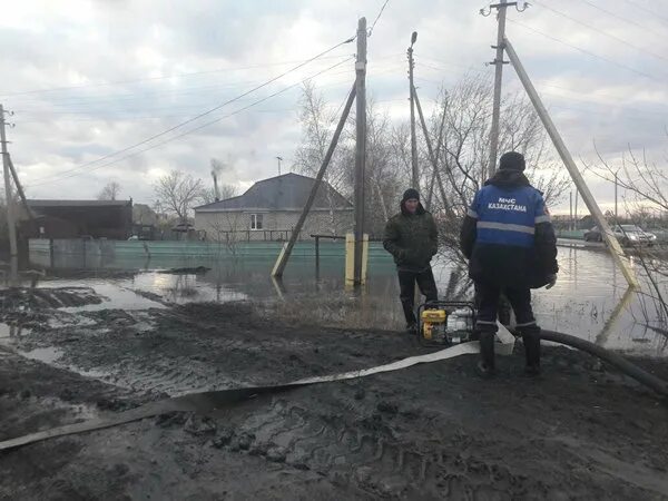 Диевка костанайская область. Новости аулиеколя сегодня. Диевка костанайская область. Аулиеколь костанайская область больничка. Диевка костанайская область.