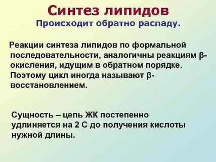 Синтез и транспорт углеводов и липидов