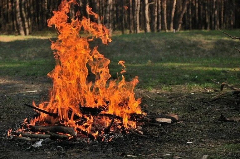 Разбить костер. Непотушенный костер. оставленные без присмотра костры. незатушенный костер. костер в лесу без присмотра.
