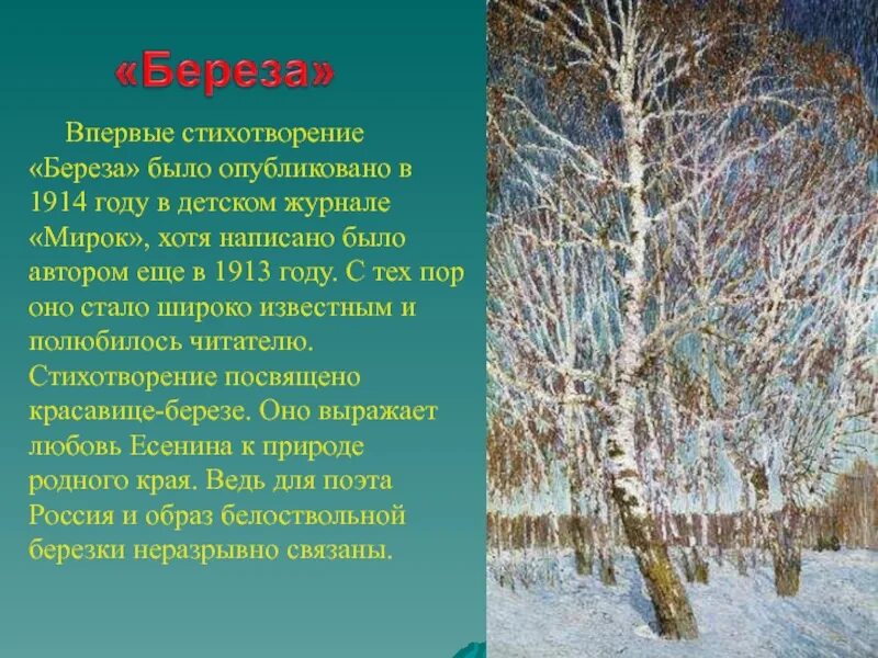 Стих Бунина еще и холоден и сыр. Стихотворение береза. Стих про березу. Стих берёза Рождественский. Анализ стиха февраль