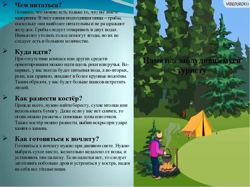 Что нужно делать в лесу если заблудился. Безопасность в природной среде. Правила выживания в лесу. Безопасность в поход в лес.