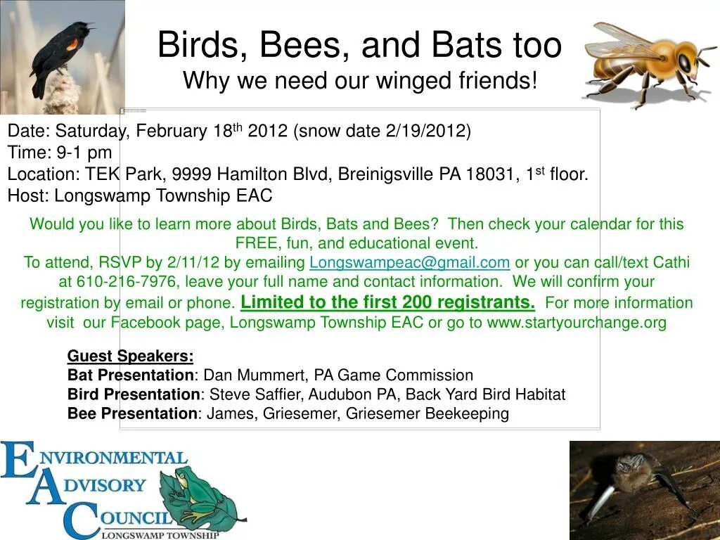 Birds and bees. Of Birds and Bees игра. Birds & bats игра. Bees and Birds idiom. Birds and Bees не гуглить.