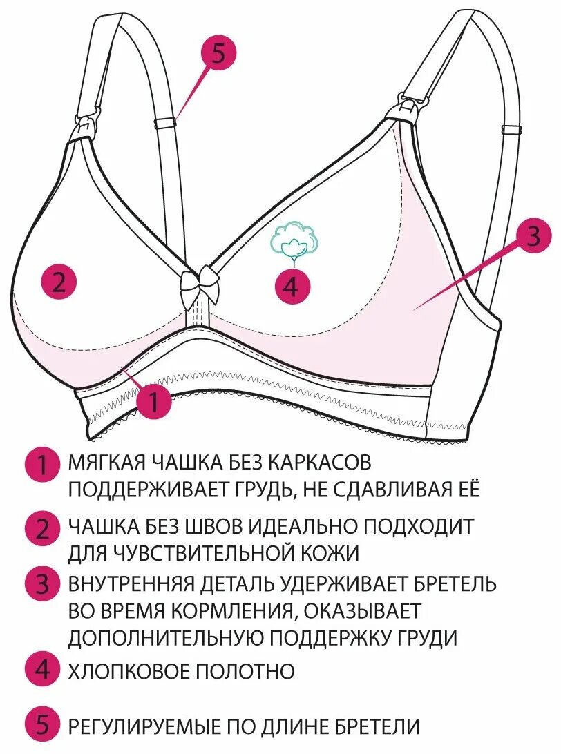Форма чашки бюстгальтера виды. Формы чашек бюстгальтера. Как называются чашечки бюстгальтера. Части бюстгальтера названия. Формы лифчиков с названиями.