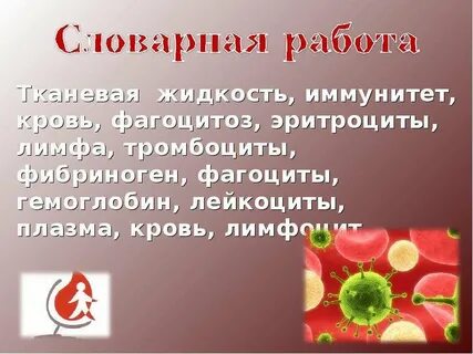Тест по биологии иммунитет