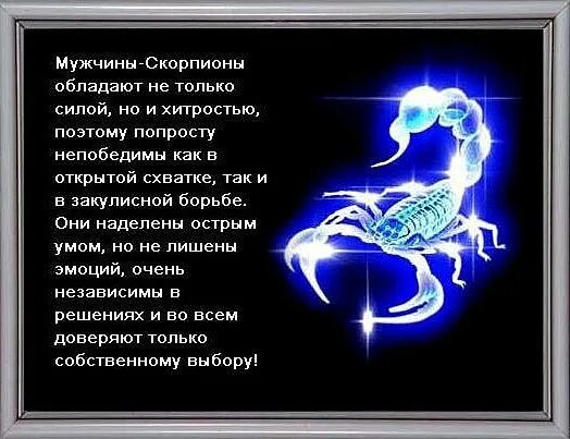 Поведение мужчин скорпионов. Характер скорпиона мужчины. Высказывания про скорпионов. Муж Скорпион. Цитаты про скорпионов мужчин.