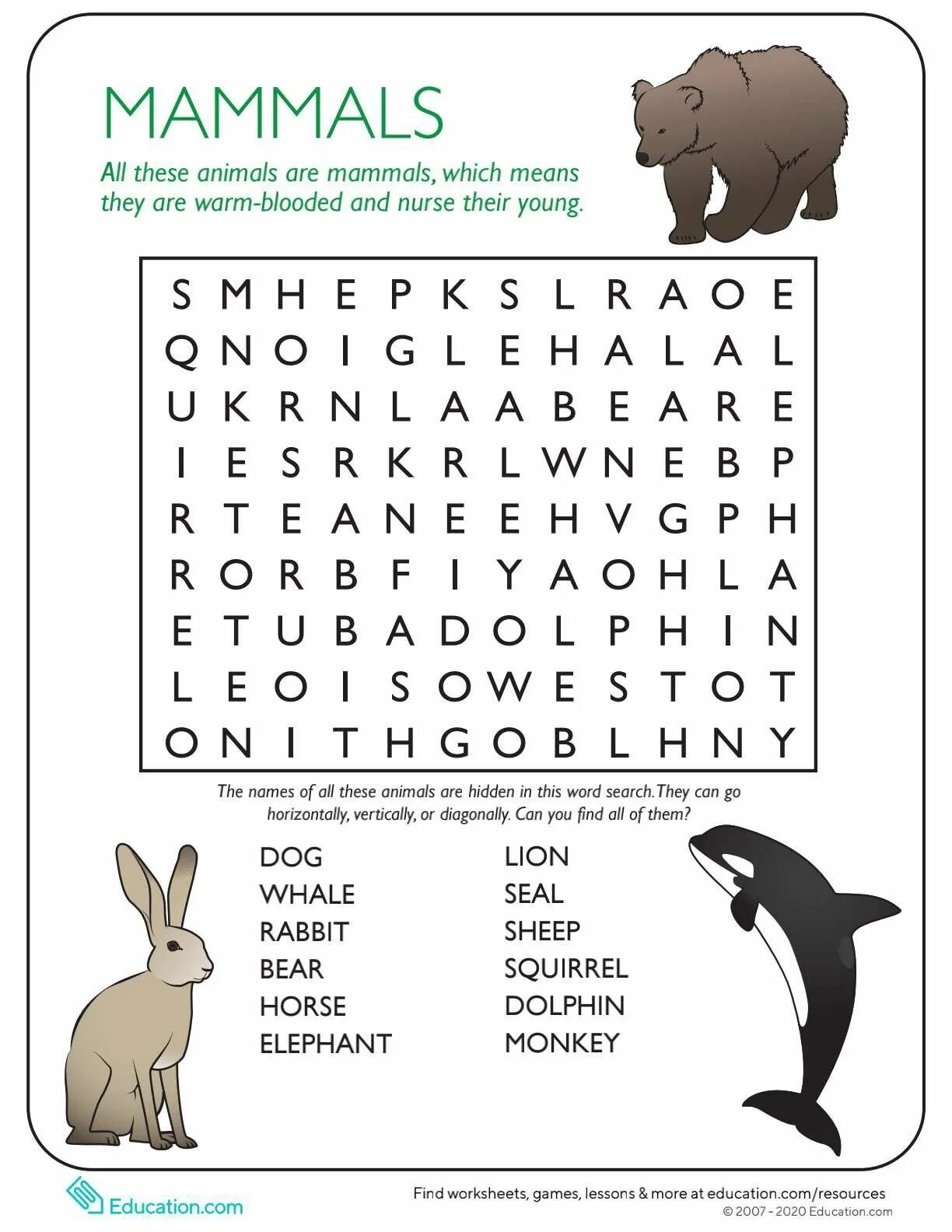 Animals wordsearch