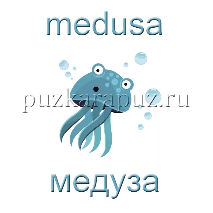 Как будет по английскому морская. Медуза. Медуза по английски. Морские обитатели на английском для детей. Jellyfish английский карточки для детей.