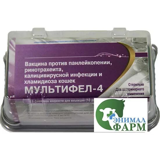 Вакцина мультифел 4. Мультифел-4, вакцина для кошек. Вакцина для котят Мультифел. Мультифел-4 для кошек ревакцинация. Отечественная вакцина для кошек Мультифел-4.