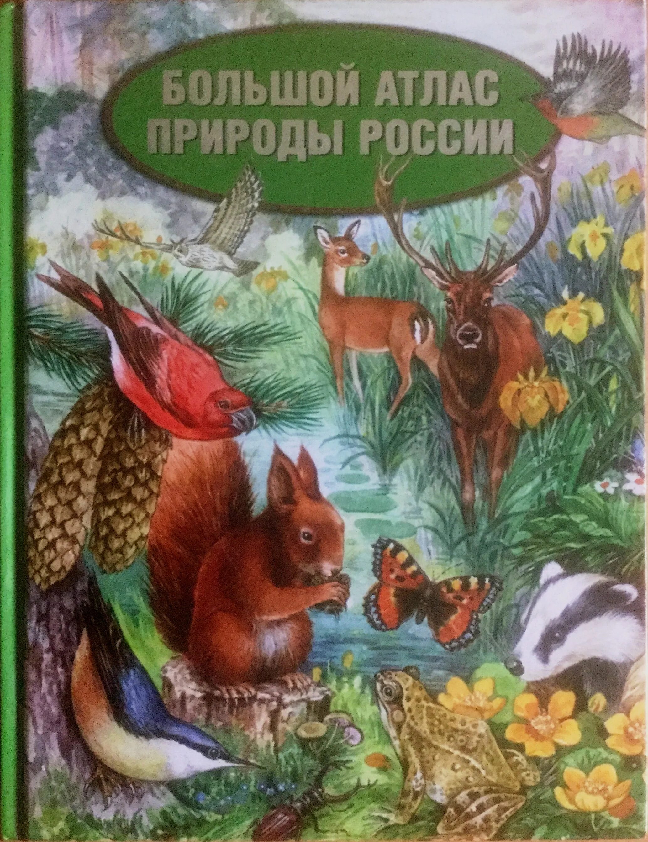 животный мир азии для детей. велирак атлас природы. атлас романова. животный мир земли. велирак атлас природы.