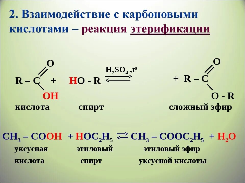 Карбоновые кислоты реагируют с спиртами. Реакция этерификации этилового спирта. Взаимодействие карбоновых кислот со спиртами. Этерификация уксусной кислоты. Реакция этерификации этанола и уксусной кислоты.