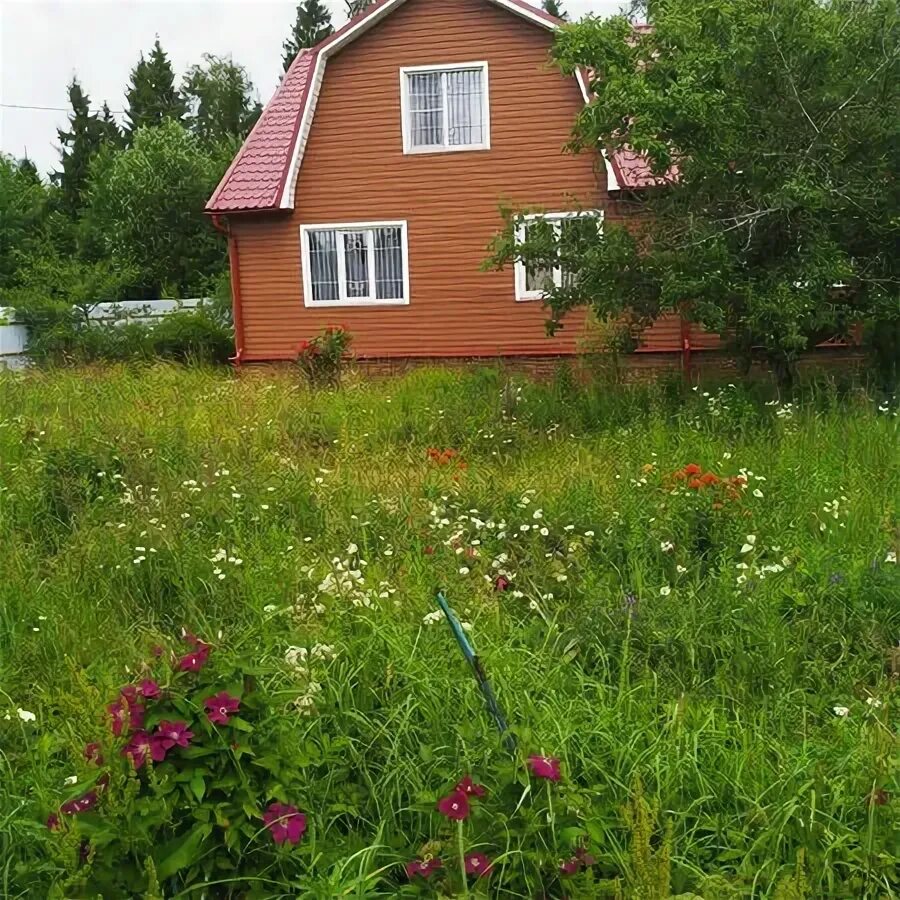 Циан бронницы. СНТ Скоротово. СНТ Скоротово Одинцовского района. Деревня Скоротово Одинцовский район. СНТ Щербаковец Одинцовский район.