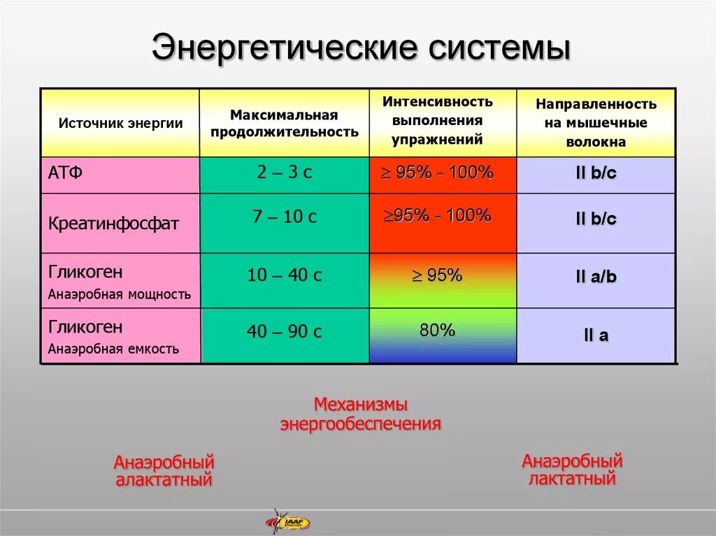 Изменения крови у спортсменов. Анаэробная система энергообеспечения. Механизмы энергообеспечения мышечной деятельности. Механизмы энергообеспечения при мышечной работе. Энергетические запасы организма при мышечной деятельности.