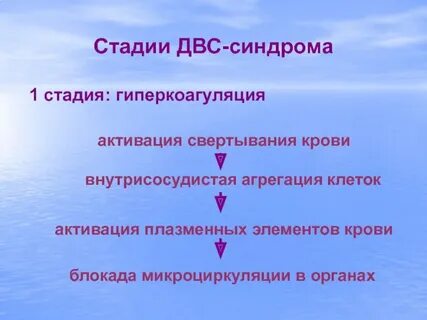 Стадии двс