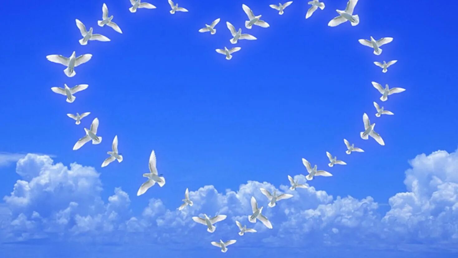 Сердечко в небе. Птицы в небе. Голубое мирное небо. Голуби в небе. Как много на свете хороших