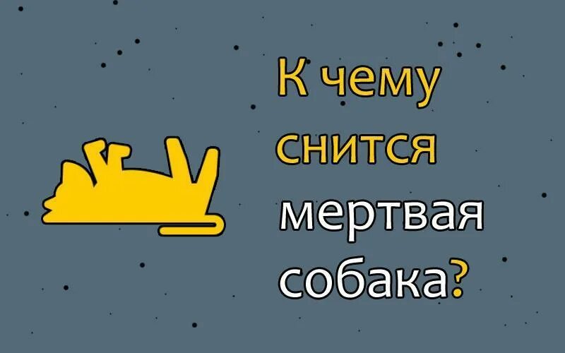 К чему снится мертвая собака. К чему снится собака во сне. Приснилась собака к чему. Сон умирающая собака к чему снится