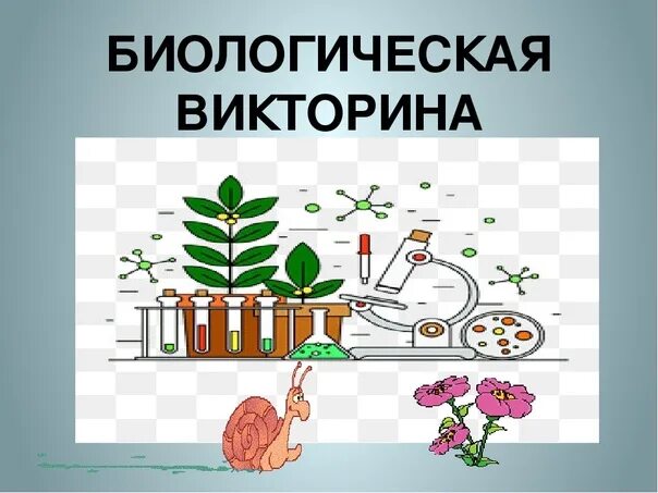 Неделя биологии 6 класс. Рисунок на тему неделя биологии. Рисунки на неделю биологии.