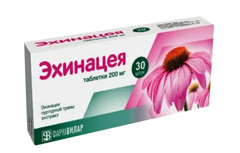 Эхинацея лекарство