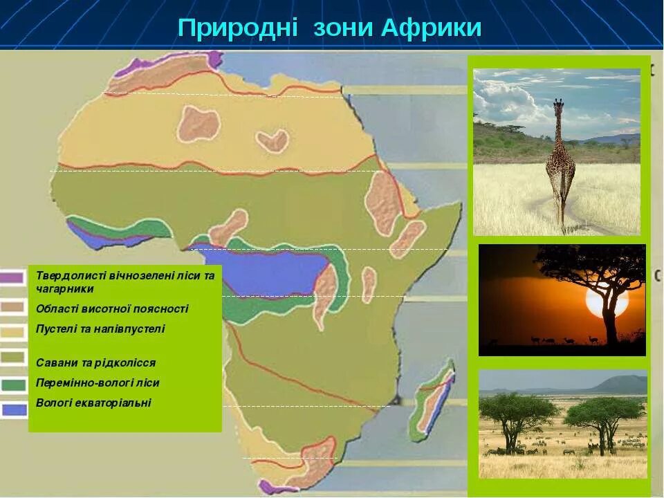 Крупные природные зоны африки. Назви природних зон Африки. Прибрежные зоны Африки. Клімат савани і рідколісся. Географічне положення перемінно вологі ліси в Африці.