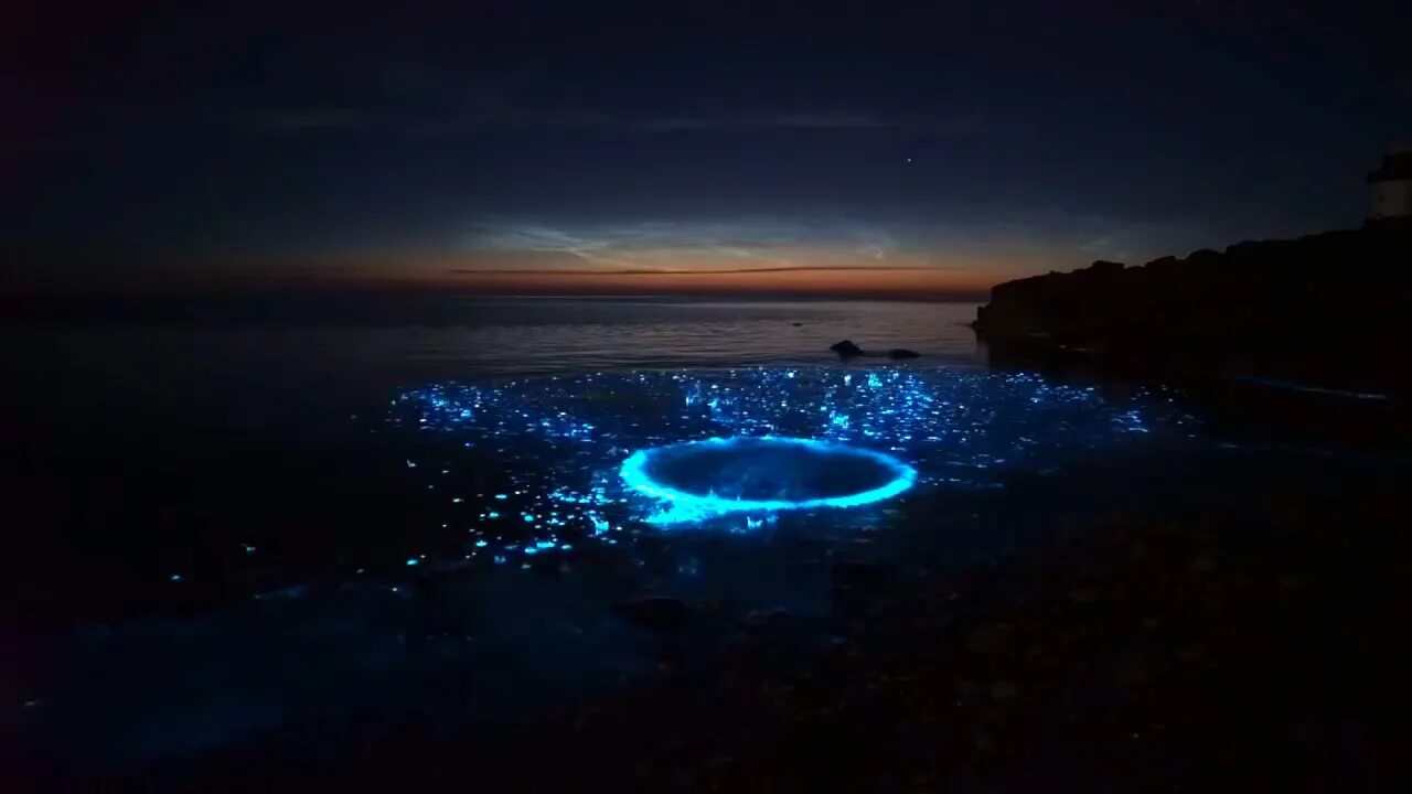 Остров Ваадху Мальдивы. Мыс Меганом светящийся планктон. Мальдивы остров Ваадху море. Биолюминесценция планктона. Море которое светится