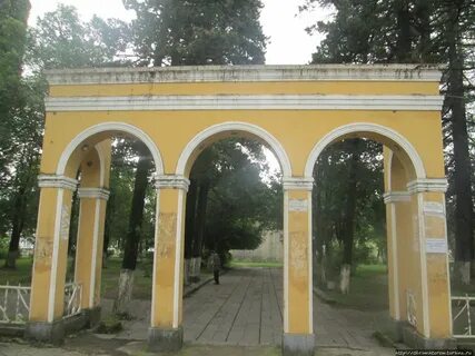 Сенаки