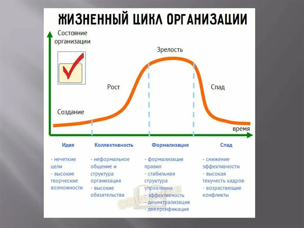 Циклы внутреннего времени. Жизненный цикл организации. Жизненный цикл предприятия. Структура жизненного цикла предприятия. Стадии жизненного цикла предприятия.