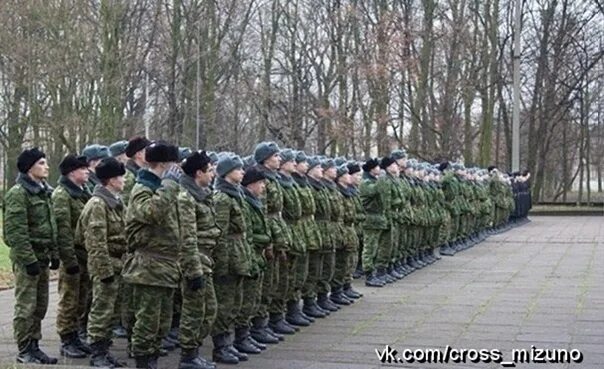 Построю роту. Рота военных на построении. Рота на построении Вольно. Построение роты фото. Рота на построении ночном.