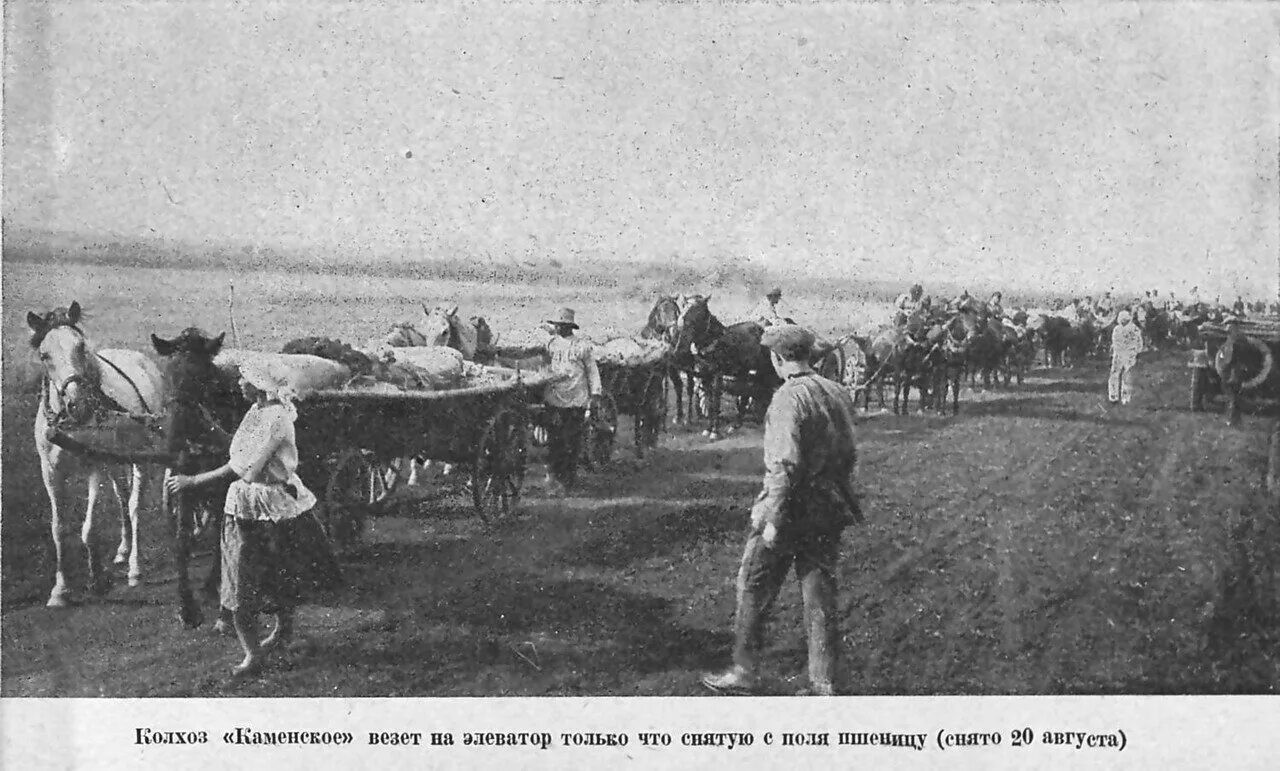 Реорганизация машинно-тракторных станций. Колхоз 1930 коллективизация. Укрупнение колхозов в ссср. Председатель колхоза ссср 30-е. Мтз 50 посевная.