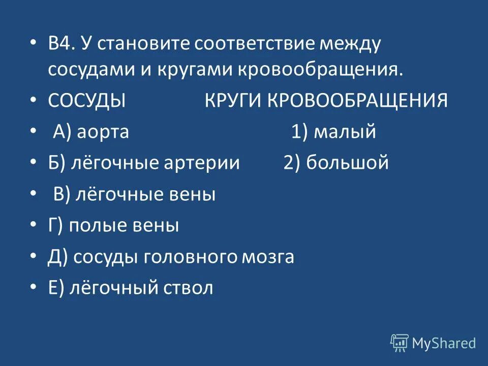установите соответствие сосуды круги кровообращения