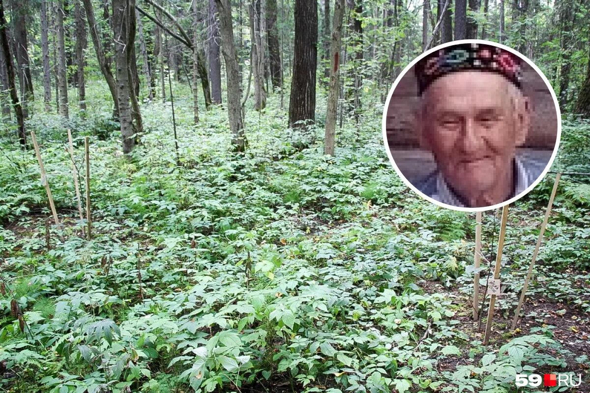 Пенсионеры в лесу. Пропал человек в Чусовом. Насмерть замерз в лесу. Сатанисты в лесу реальные фото.