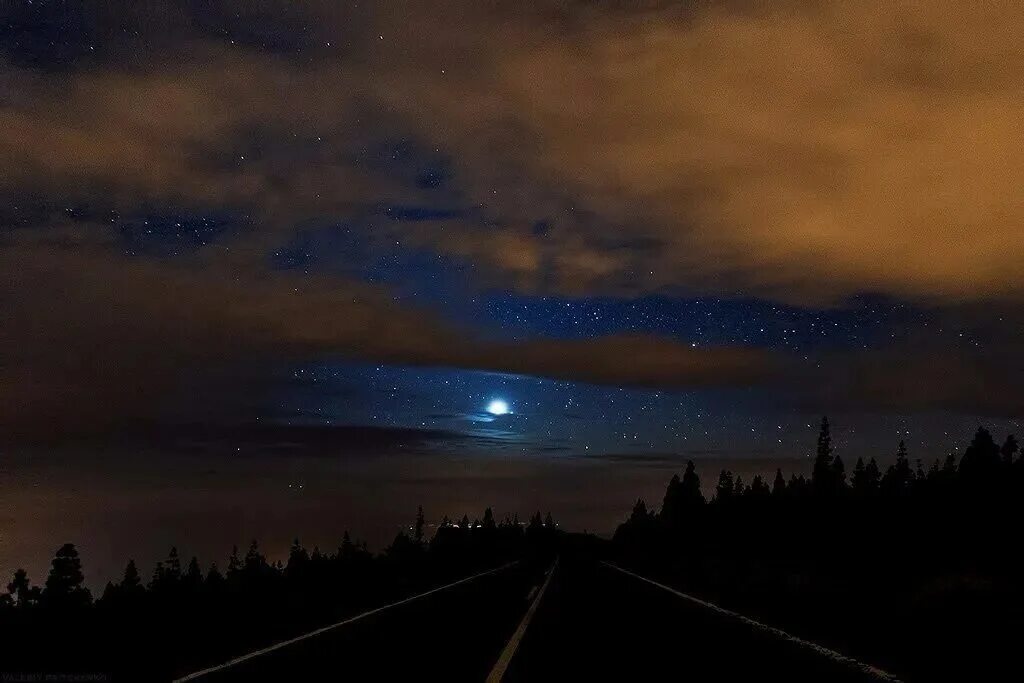 Майская ночь. Синяя ночь. Ночной май. Майская ночь фото.