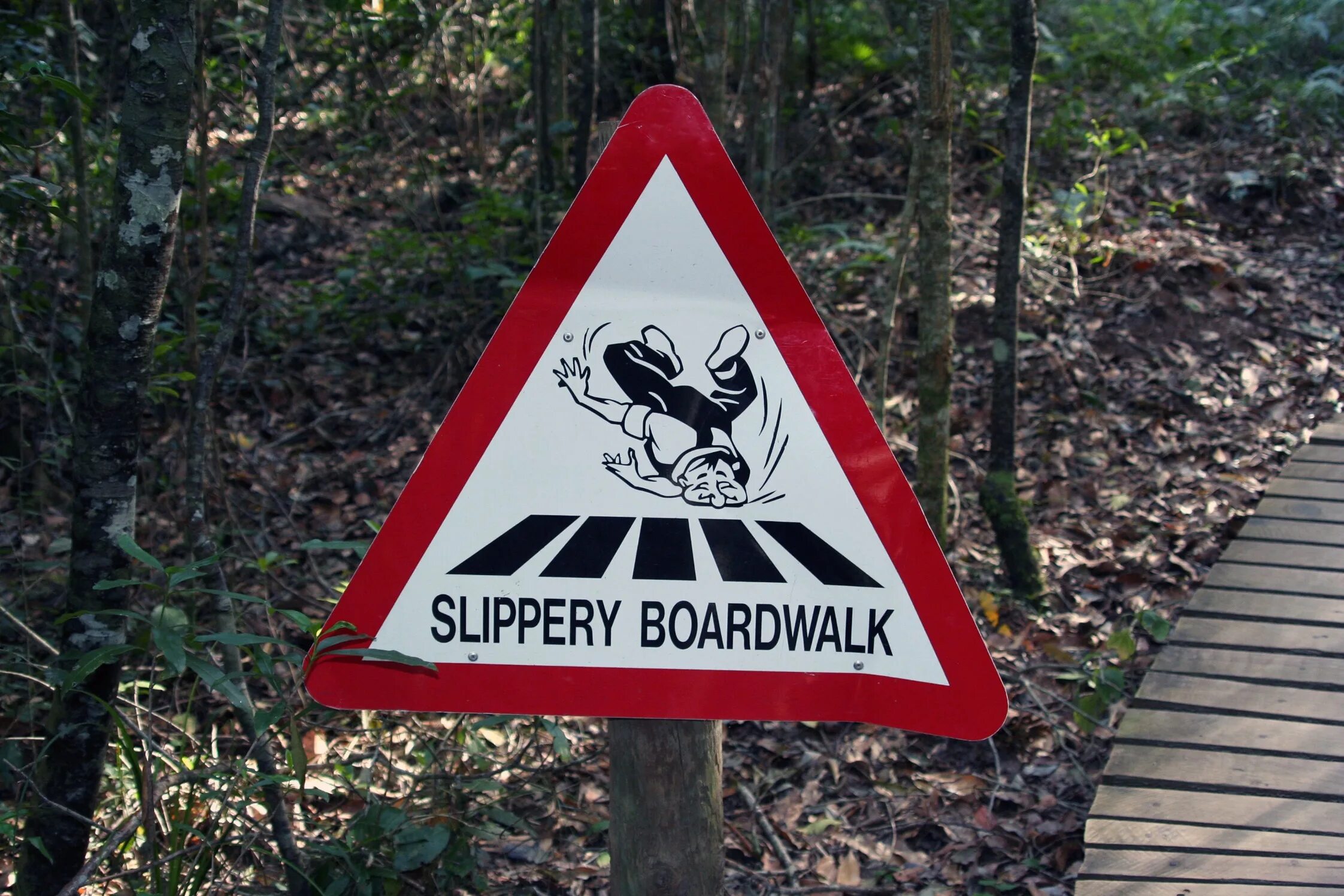 Знак опасности лес. Предупреждающие знаки. Предупреждающие таблички. Смешные предупреждающие знаки. Лесные дорожные знаки.