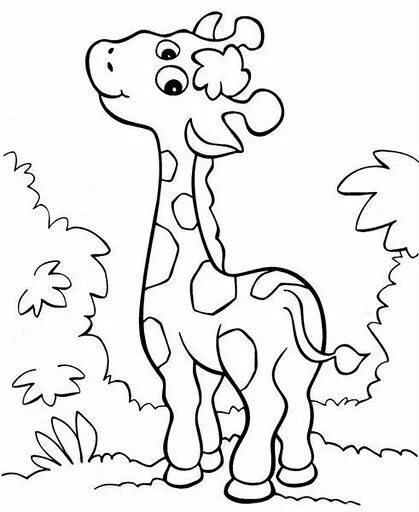 Жираф раскраска для детей распечатать Giraffe Coloring Pages