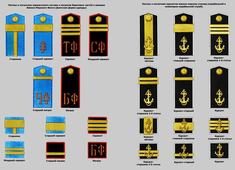 Знаки различия военно морского флота. Погоны и звания военно морского флота РФ. Погоны старшина ВМФ РФ. Звания военнослужащих военно-морского флота РФ. Погоны ВМФ РФ матрос.