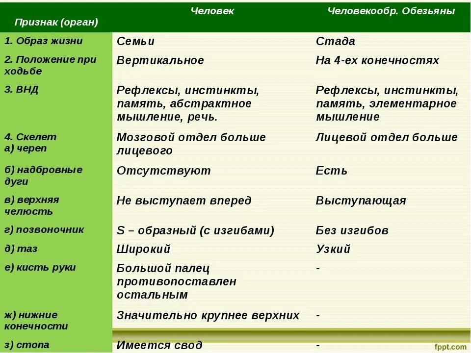 Назовите сходства. Сходства и различия человека. Отличия и сходства человека и обезьяны. Различия между человеком и антропоидами. Образ жизни человека и человекообразных обезьян таблица.