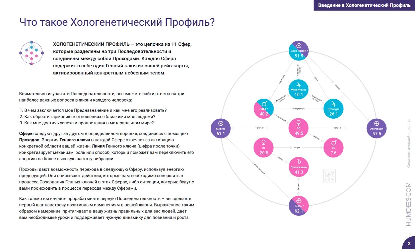 Генные ключи расшифровка. Хологенетический профиль и генные ключи. Ходогегетический профиль. Хологенетический профиль расшифровка.