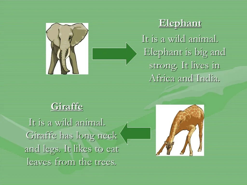 Elephants are big cats. Animals презентация. Wild animals презентация. Презентация animals domestic Wild. Wild and domestic animals тема.