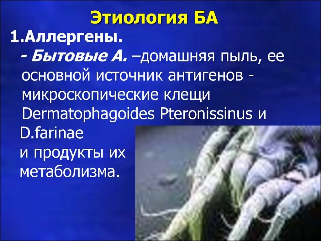 Домашняя аыль Аллергоид. Домашняя пыль аллерген. Аллерген из домашней пыли. Аллергены клещей домашней пыли