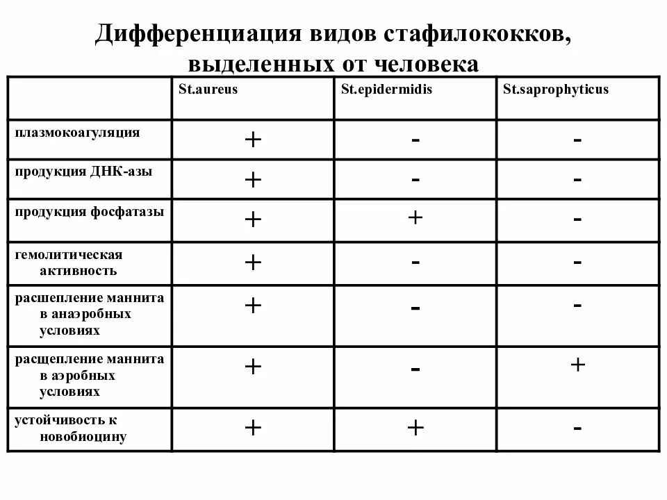 Биохимические свойства стафилококков микробиология. Стафилококковая инфекция дифференциальный диагноз. Эпидермальный стафилококк биохимические свойства. Биохимические свойства патогенных стафилококков:. Staphylococcus aureus 4