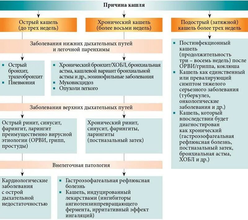 Причины кашля. Причины кашля у ребенка. Этапы лечения кашля. Сухой кашель у ребенка причины.