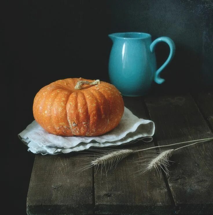 Still life with pumpkin Still life art, Still life photography, Still life pictu