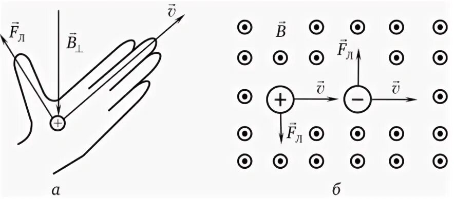 Как определить направление силы действующей на заряженную частицу. Определите направление силы Лоренца действующей на частицу. Сила Лоренца для магнитного поля. Движение электрона в однородном магнитном поле рисунок. На рисунке изображено движение положительно