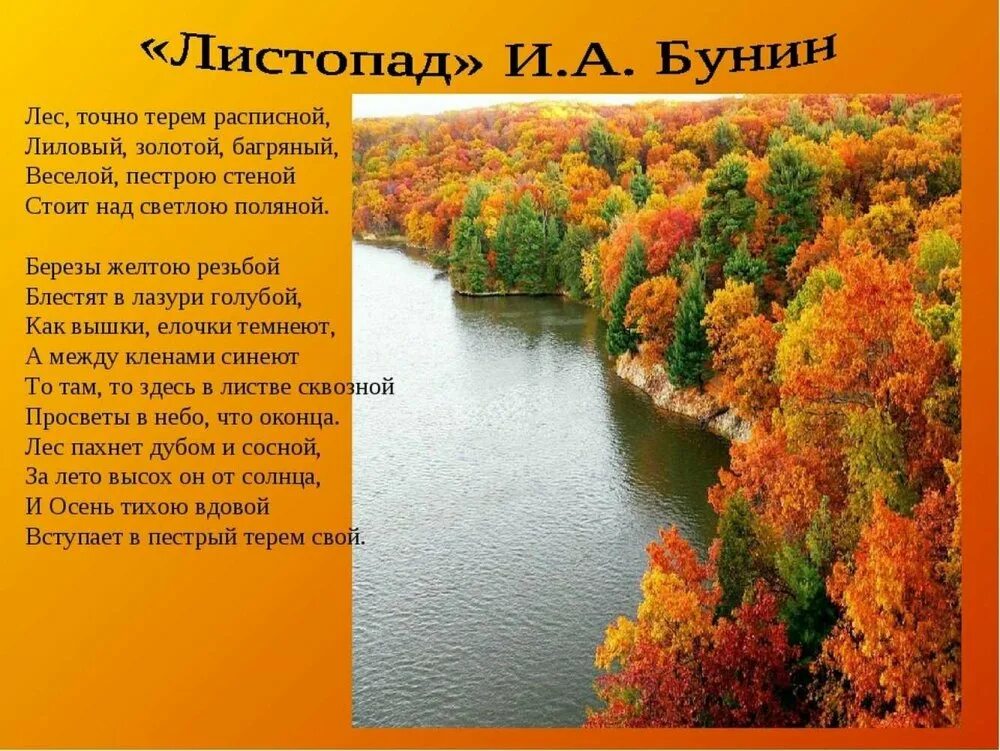 Веселой пестрою стеной. Бунин лес словно Терем расписной. Лиловый золотой багряный Бунин. Бунин листопад.