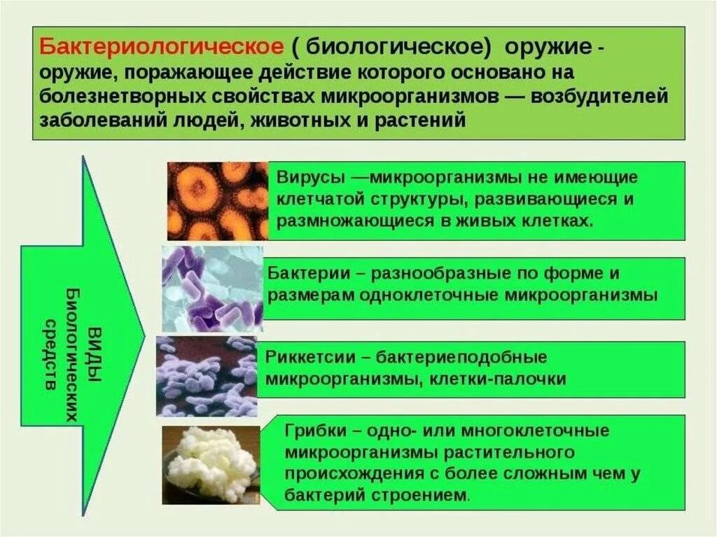 На чем основано действие биологического оружия. Биологическое оружие определение. Что относится к биологическому оружию. Классификация бактериологического биологического оружия. Поражающие факторы бактериологического оружия ОБЖ.