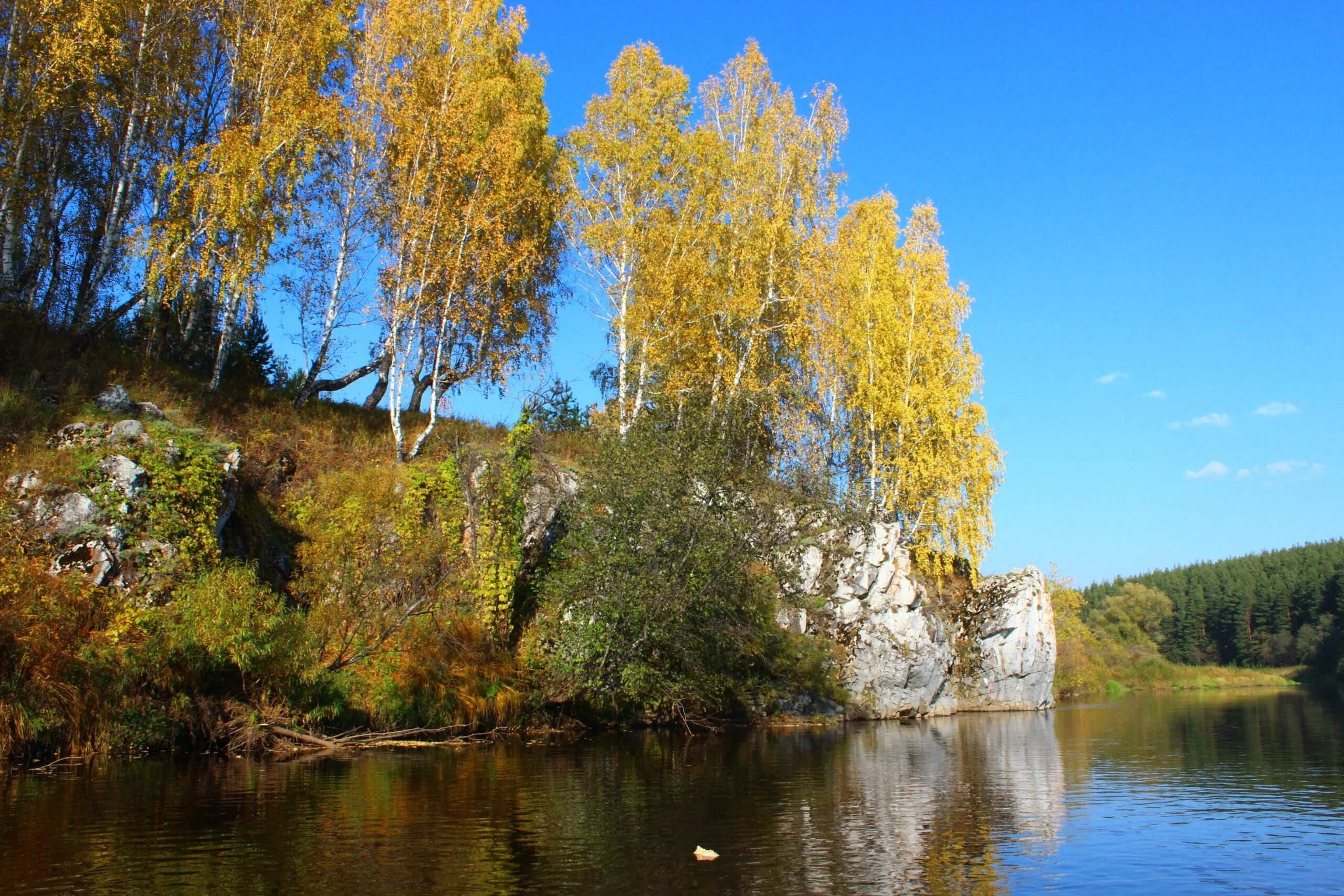 Реж щий край